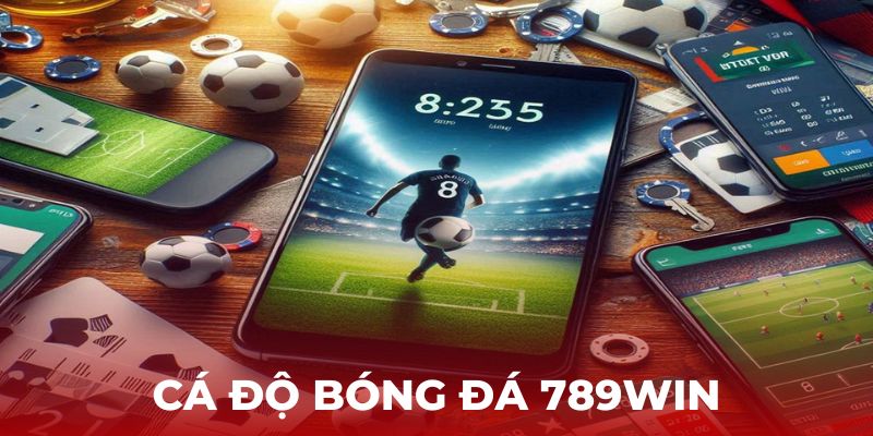 Cá độ bóng đá tại 789Win – Điều cần nắm rõ tránh sai lầm